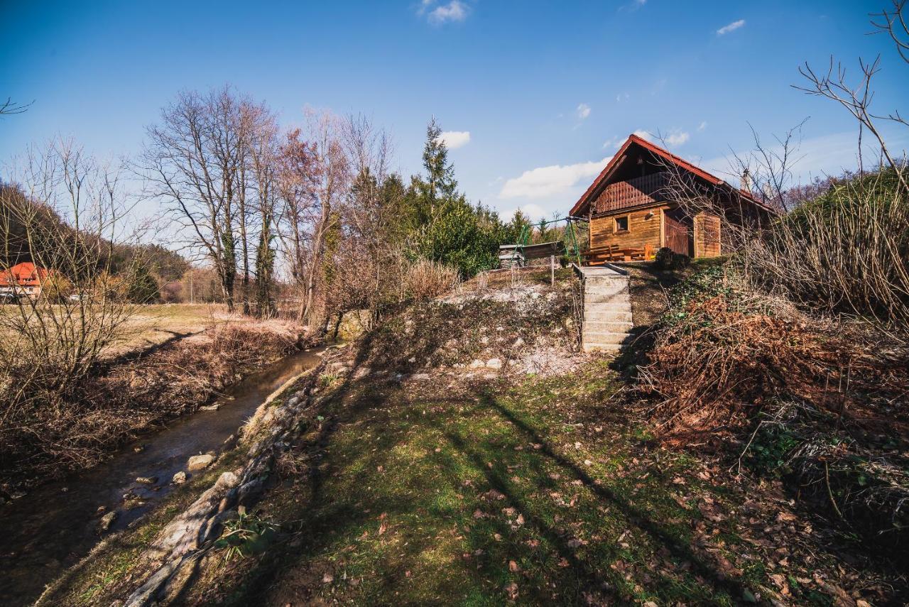 Wooden Cabin Zurej With Hot Tub Bukovje v Babni Gori 외부 사진